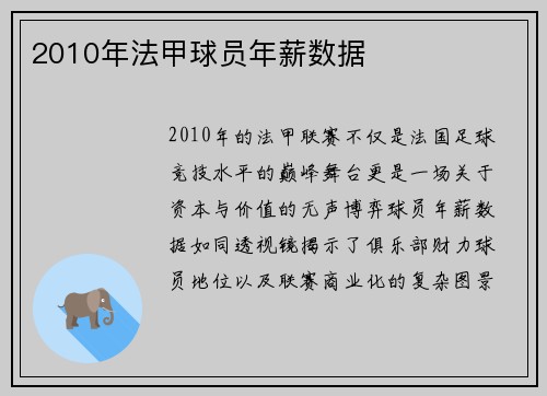 2010年法甲球员年薪数据